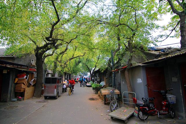 Beijing's Hidden Treasures: Discover Local Life at Tianning Temple, Xuanwu Park, and Authentic Hutongs